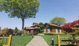 涿州灾害爆料最新消息查询,紧急救援行动全面展开