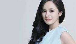 杨幂最新爆料新闻,揭秘娱乐圈不为人知的秘密