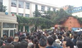 云南小学爆料事件最新,揭开校园安全与管理的隐秘面纱