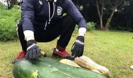 2025最新大瓜爆料,揭秘娱乐圈惊天秘密与幕后真相