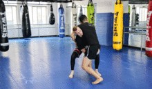 桑搏技能爆料最新,实战技巧与战术革新