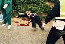 河南交警最新爆料,揭秘交通违法背后的惊人真相