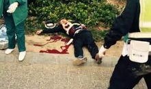 河南交警最新爆料,揭秘交通违法背后的惊人真相