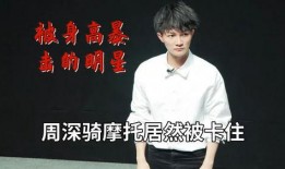 周深和毛不易最新爆料,揭秘音乐背后的故事与情感