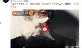 卓伟爆料模特视频大全最新,模特视频大全引发热议，真相揭秘！