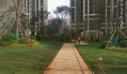 龙悦华府最新爆料新闻,揭秘豪宅背后的惊人真相