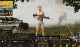 吃鸡国际服最新手册爆料,全新玩法与战术解析