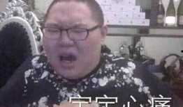 小孩哥最新爆料新闻,最新爆料新闻背后的惊人真相