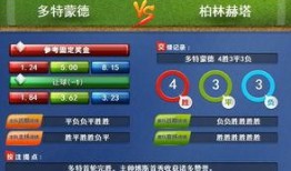 竞彩最新爆料,揭秘最新爆料背后的精彩瞬间