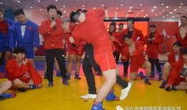 桑搏技能爆料最新,实战技巧与战术革新