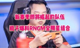 全明星派队最新爆料,阵容揭秘，精彩看点抢先知！