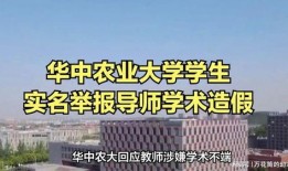 农业大学最新爆料,农业科技革新助力乡村振兴