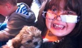 小孩哥最新爆料新闻,最新爆料新闻背后的惊人真相