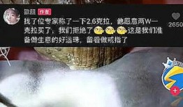 安徽蚌埠爆料事件视频最新,视频揭露惊人真相，引发社会关注