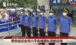 上海城管最新爆料,聚焦城市治理新动态与挑战