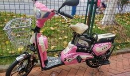 佛山电动车事件最新爆料,真相再起波澜，疑云重重待解