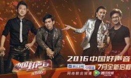 最新爆料好声音视频完整版,巅峰对决，独家揭秘视频完整版幕后花絮