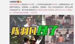 武汉爆料脱单事件视频最新,脱单事件视频引发热议，真相揭秘引网友热议