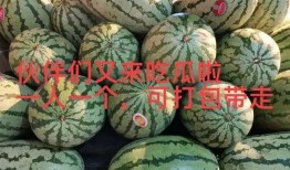 大瓜最新爆料,大瓜最新剧情揭秘，真相令人震惊！