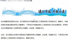 中建三局爆料最新消息,揭秘重大工程进展与未来规划