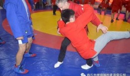 桑搏技能爆料最新,实战技巧与战术革新