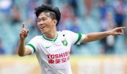 衡水谢鹏飞最新爆料,揭秘事件背后惊人真相