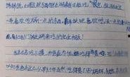桃园日记最新爆料篇,揭秘幕后真相与惊人内幕