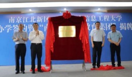 征神集团爆料了吗最新消息,揭秘神秘项目进展与未来布局