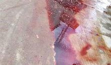 屠宰最新爆料消息网,屠宰行业惊人内幕大揭秘！